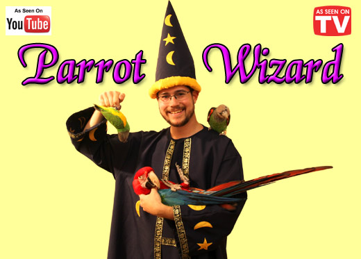 Parrot Wizard