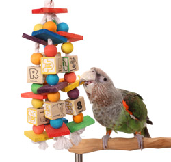Alphabet Soup Toy with Cape Parrot