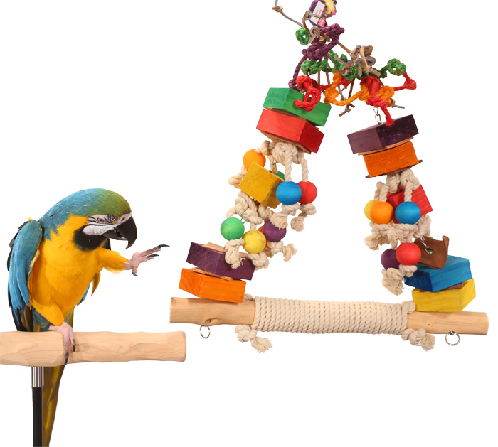 Blue and Gold Macaw with Fiesta Swing Parrot Swing & Toy