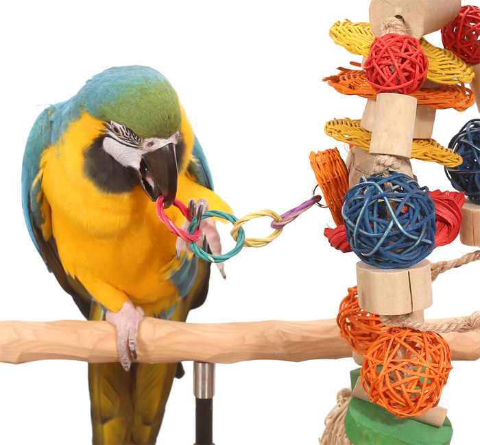 Monkey Munch Toy with Blue and Gold Macaw