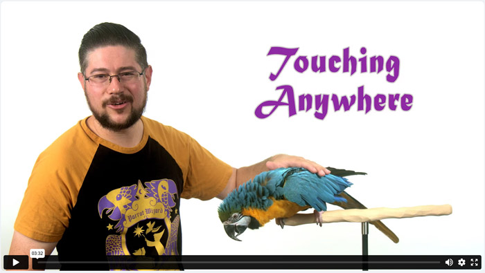 Train Parrot to Let You Touch Anywhere