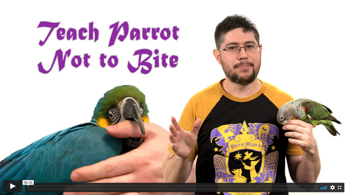 Teach a Parrot Not to Bite
