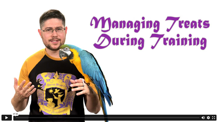 Managing Parrot Treats During Training