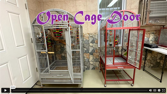 Open Cage Door Policy