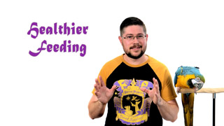 Healthier Feeding for Parrots