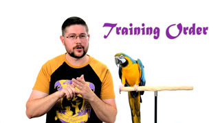 Order of Parrot Training
