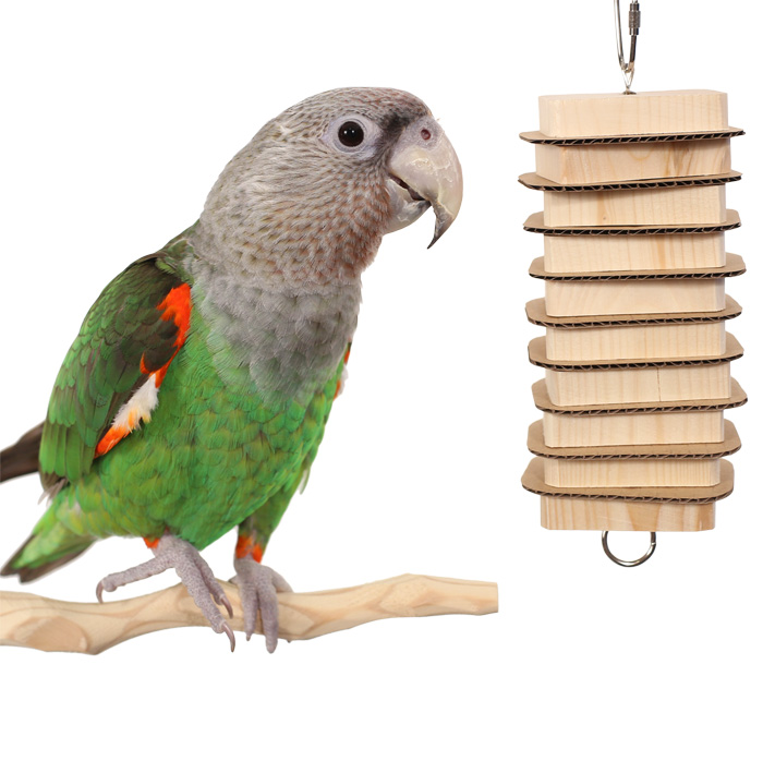 Cape Parrot with Parrot Bites Stack Small Parrot Toy