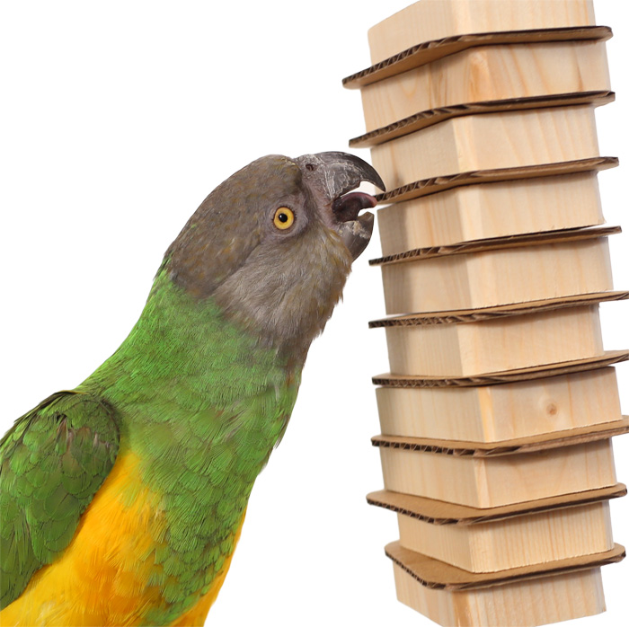 Close up of Parrot Bites Stack Small Parrot Toy