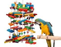 Blue and Gold Macaw with Rainbow Parade Large Parrot Toy