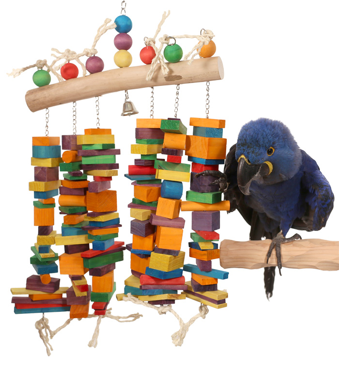 Hyacinth Macaw playing with Rainbow Waterfall Large Parrot Toy