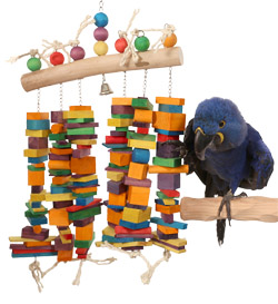 Hyacinth Macaw playing with Rainbow Waterfall Large Parrot Toy