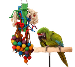 Great Green Macaw with Tropical Grapes Large Parrot Toy