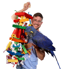 Hyacinth Macaw with Tropical Stack XXL Toy